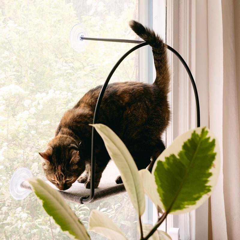 Cloud Nine Window Hammock - Cat Window Perch, Supports 30 Lbs, Cute Cat Bed, Strong Suction Cups, Cordless