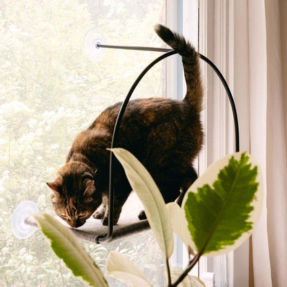 Cloud Nine Window Hammock - Cat Window Perch, Supports 30 Lbs, Cute Cat Bed, Strong Suction Cups, Cordless
