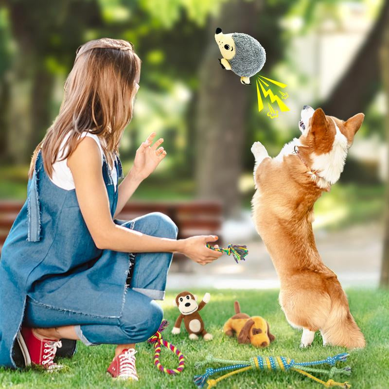 Dog Squeaky Toys for Small Dogs, Puppy Toys for Teething Cute Small Dog Toys Stuffed Plush Dog Toy Bundle Natural Cotton Puppy Rope Toy Dog Chew Toys for Puppies Pet Toys for Dogs (12 PACK PUPPY TOYS)