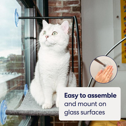 Cloud Nine Window Hammock - Cat Window Perch, Supports 30 Lbs, Cute Cat Bed, Strong Suction Cups, Cordless
