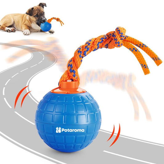 Potaroma Interactive Dog Ball Toy with Animal Sound and Chewing Rope for Puppy, Blue