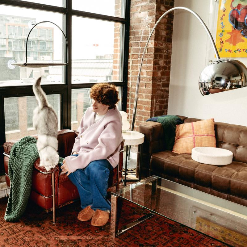 Cloud Nine Window Hammock - Cat Window Perch, Supports 30 Lbs, Cute Cat Bed, Strong Suction Cups, Cordless